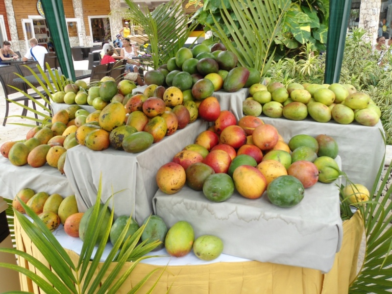 Dominican Mango Exports Soar 1388 To 3272t In 1q