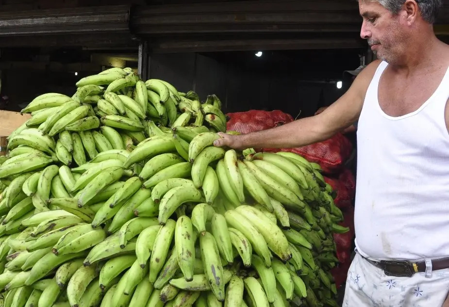 banana economia