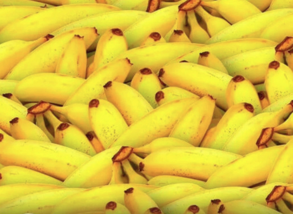 For our export business, we have transitioned from conventional to organic  bananas”