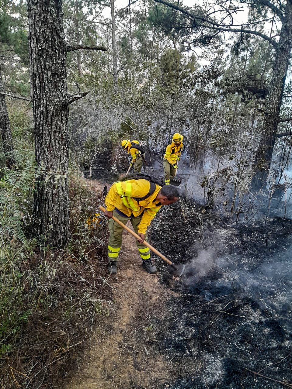 Easter Week: Several forest fires are recorded