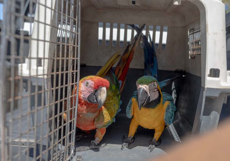 Government requires exotic pets to be registered