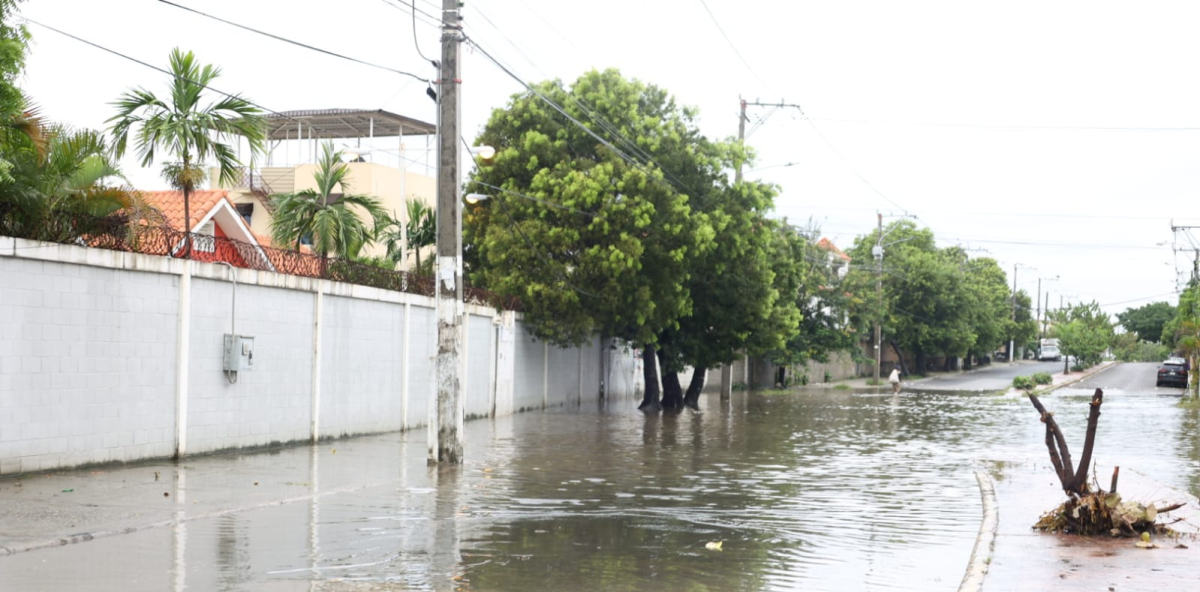 Climate change: Storm Melissa and tremors: why the Dominican Republic faced strong phenomena in 2025