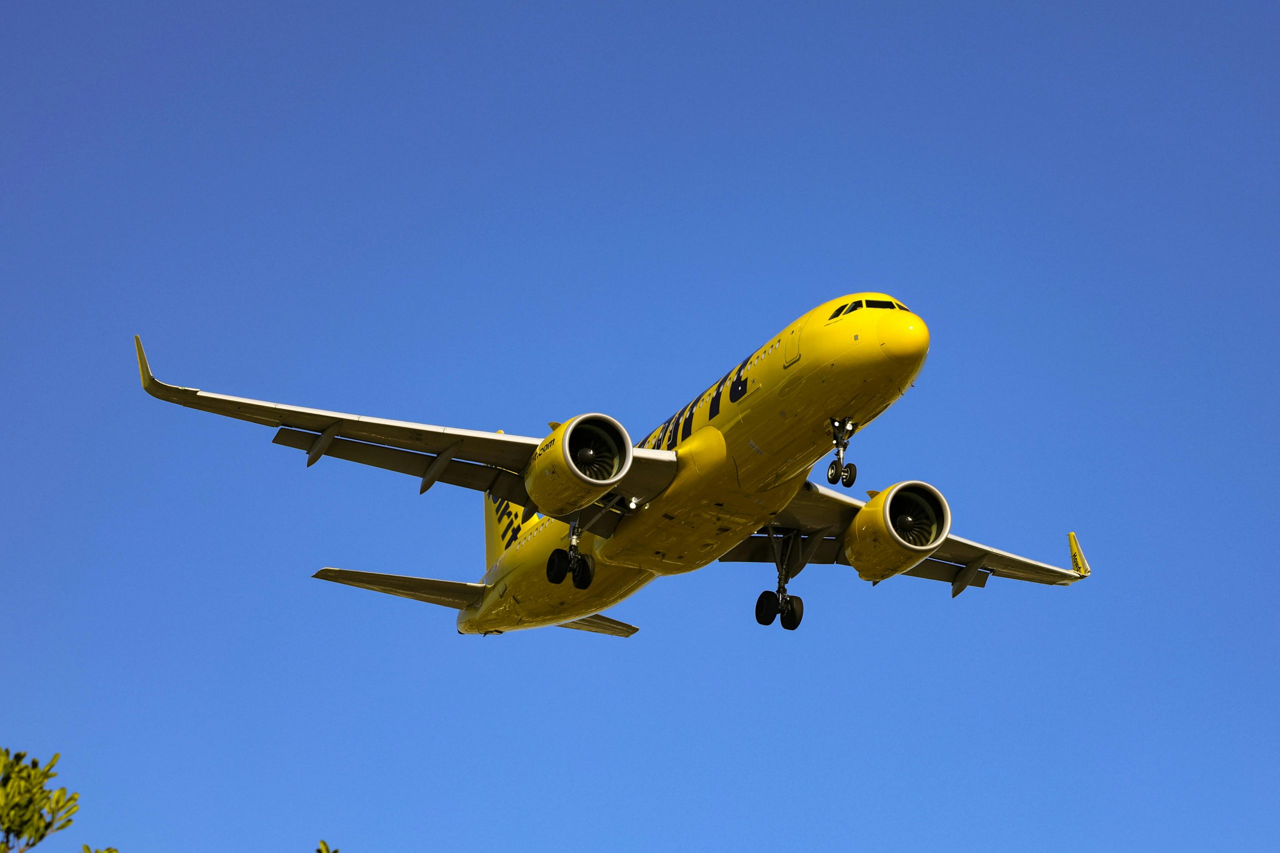 Airlines set to absorb Spirit Airlines’ passenger demand in the Dominican Republic