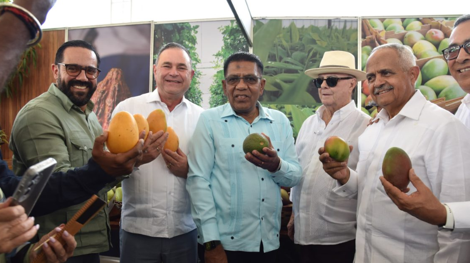 Dominican mango exports set to reach 10 million boxes this year