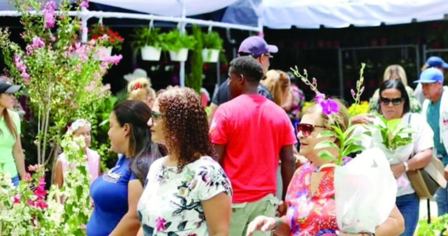Jarabacoa Flower Festival celebrates 15 years, attracting thousands of visitors