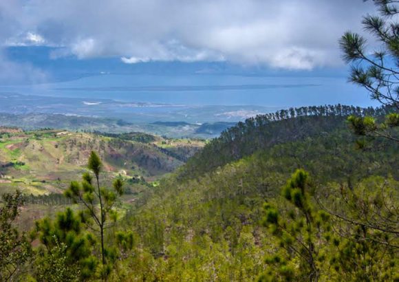 Environment Ministry battles forest fire in Sierra de Bahoruco amid extreme drought