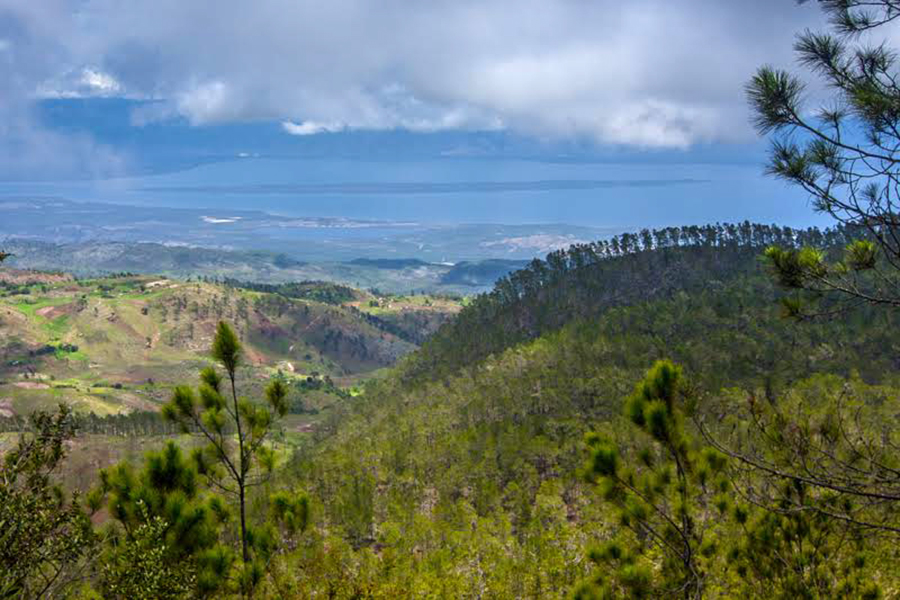 Environment Ministry battles forest fire in Sierra de Bahoruco amid extreme drought