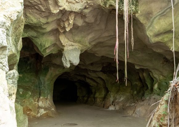 Docalsa says environmental project focuses on restoration, not mining