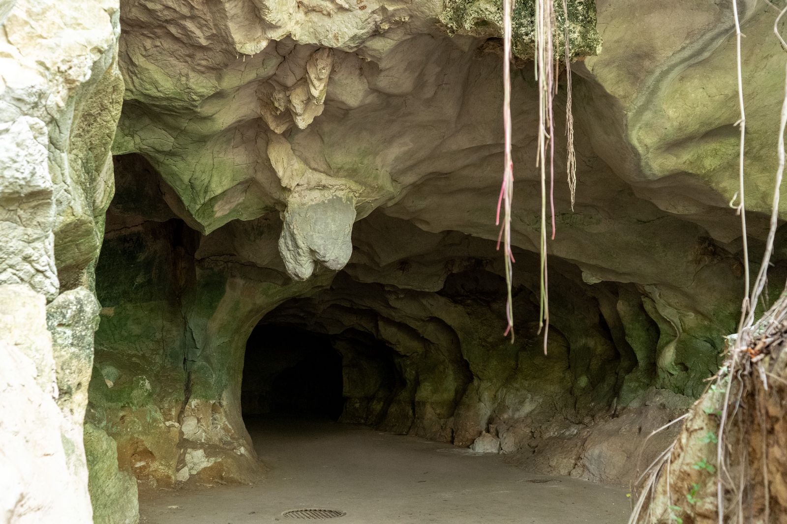Docalsa says environmental project focuses on restoration, not mining