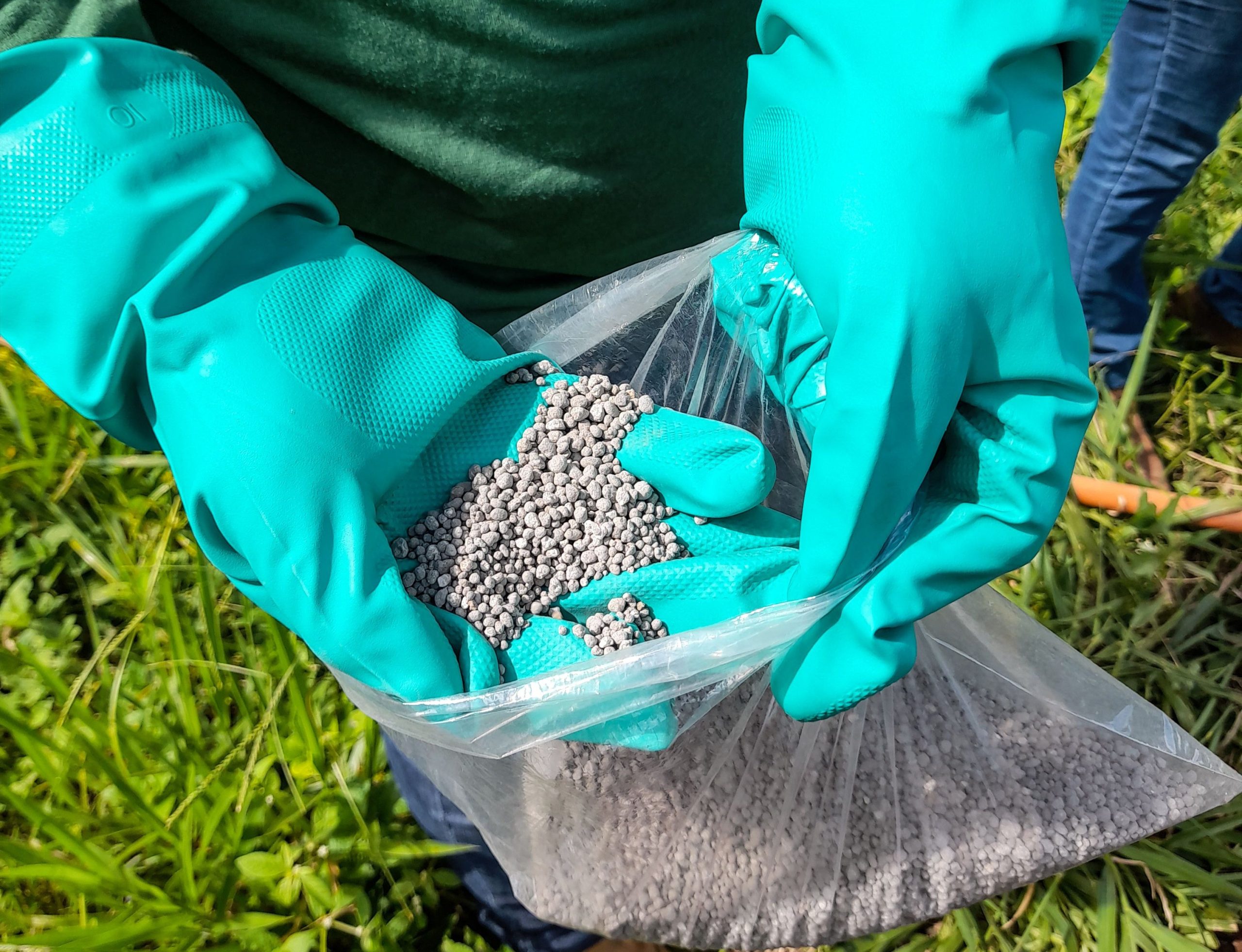 Government expands fertilizer subsidies to protect food security