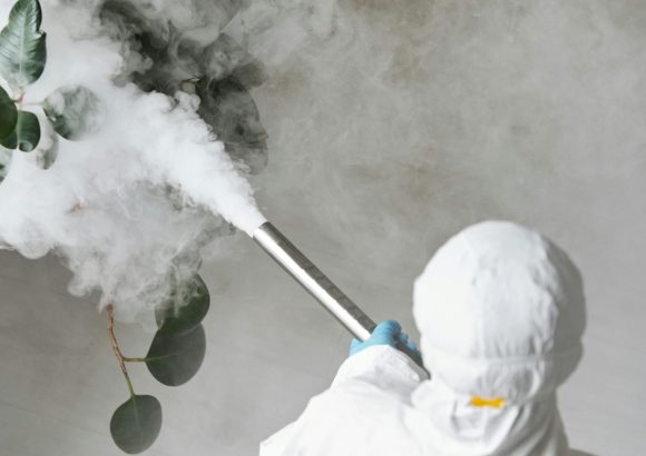 Public Health reports significant decline in disease incidence