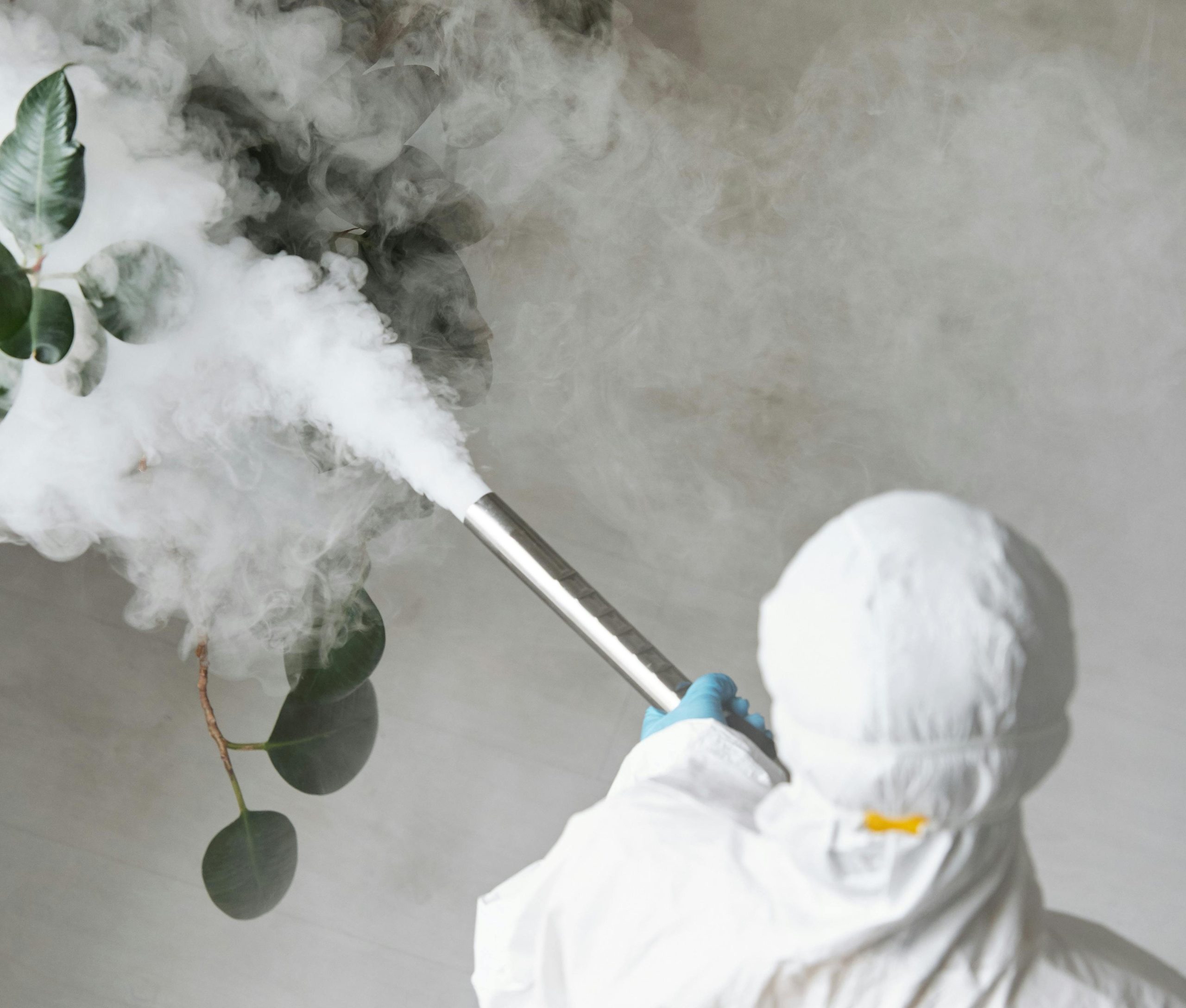 Public Health reports significant decline in disease incidence