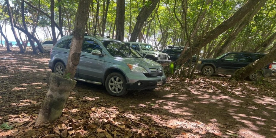 Surf schools urge Dominican authorities to ban vehicles from Playa Encuentro
