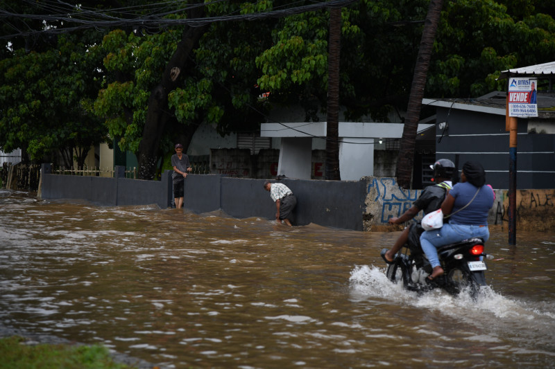 196 cases of leptospirosis have been reported so far this year
