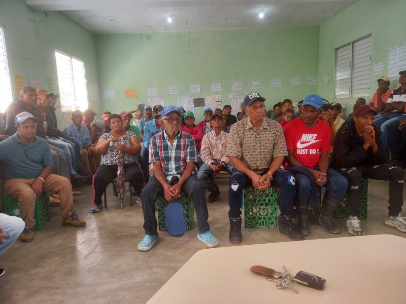 Coffee producers demand government support for the sector