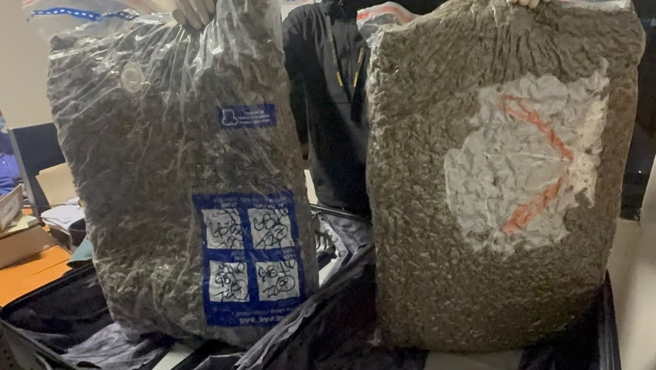 Abandoned suitcase at Las Américas Airport found with 29 pounds of marijuana