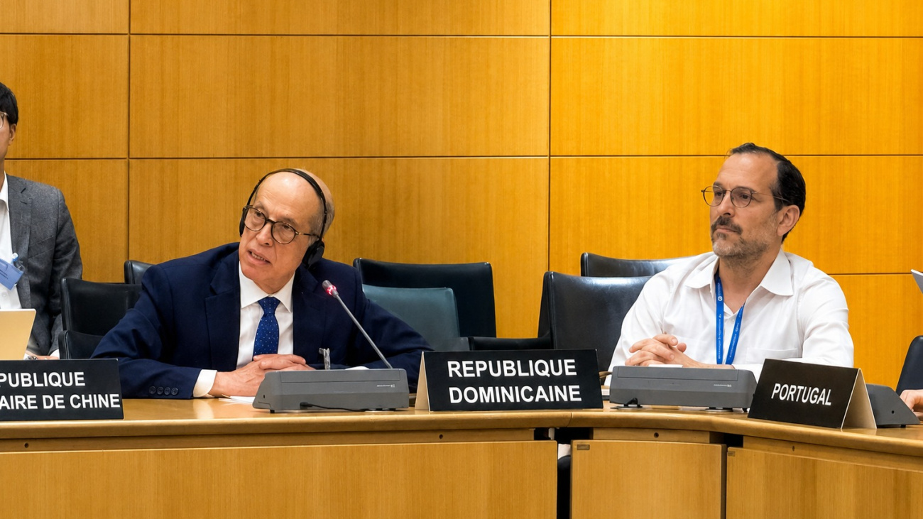 Max Puig calls for climate action focused on sustainable development at OECD forum