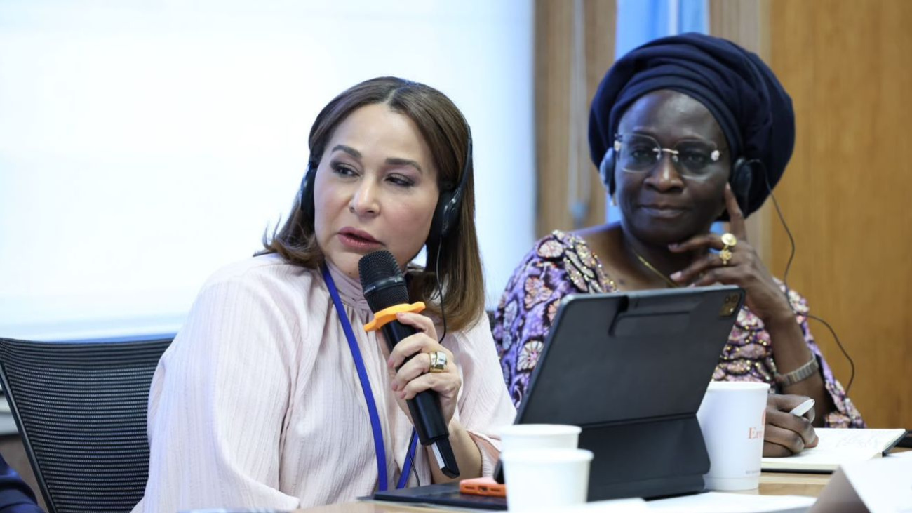 Supérate showcases Dominican poverty reduction efforts at UN sustainable development forum