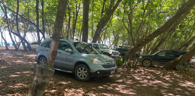 Environment Ministry rejects vehicle traffic on Puerto Plata beach