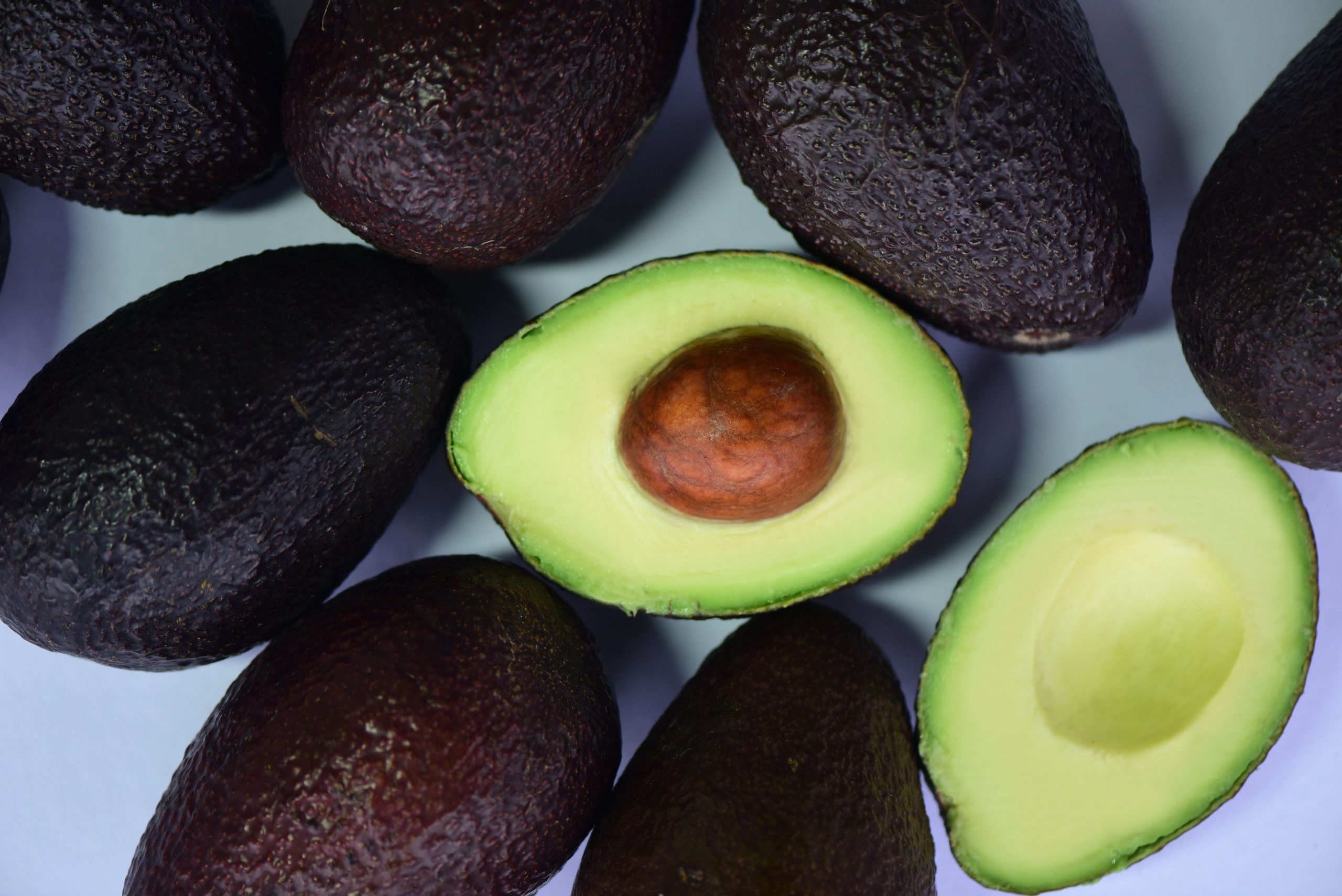 Dominican government invests RD$194 million in Avocado Agroecological Park