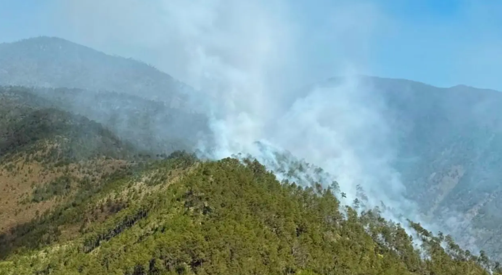 Dominican authorities bring Tetero Valley wildfire under control
