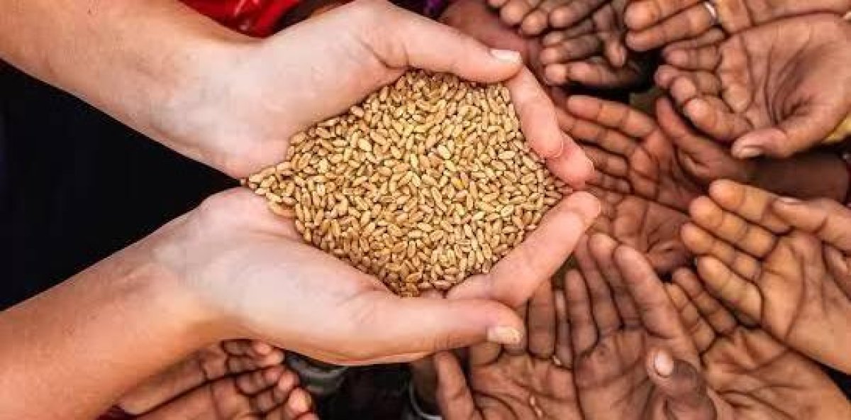 How has the Dominican Republic managed to be the last country to reach zero hunger?