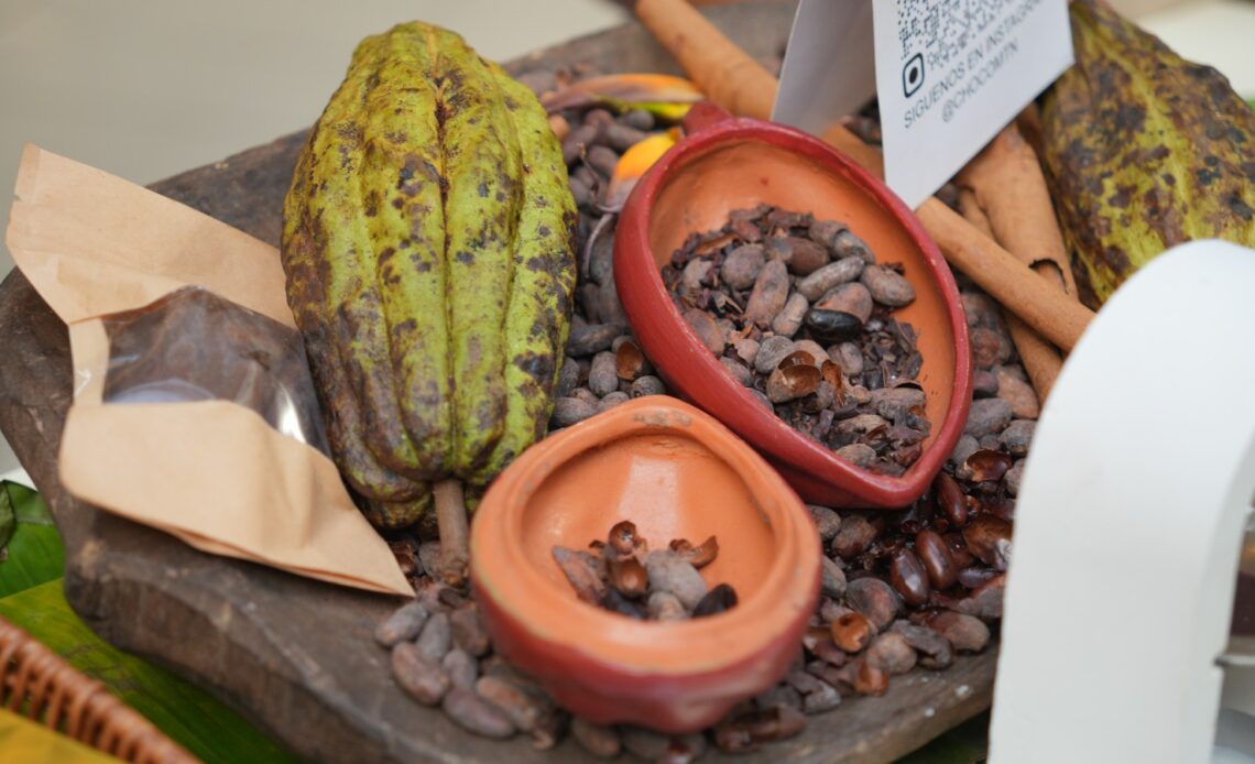 Dominican cocoa exports reach record US$669 million in 2025
