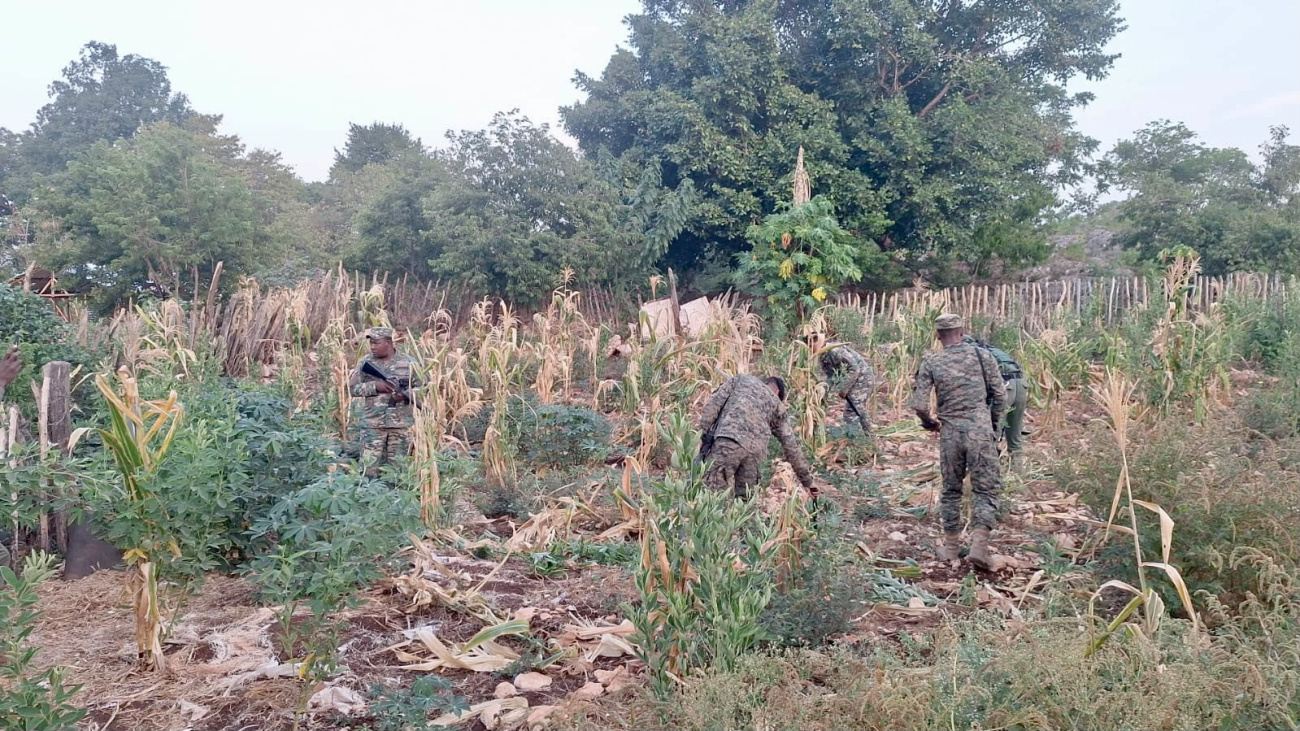 Dominican government launches operation to protect six national parks from environmental crimes