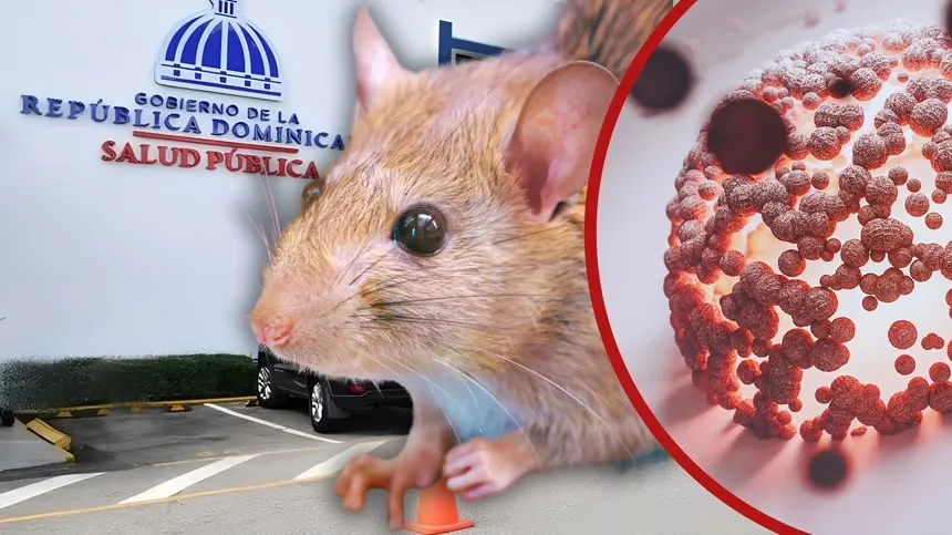 19 people have died from leptospirosis so far this year in the Dominican Republic