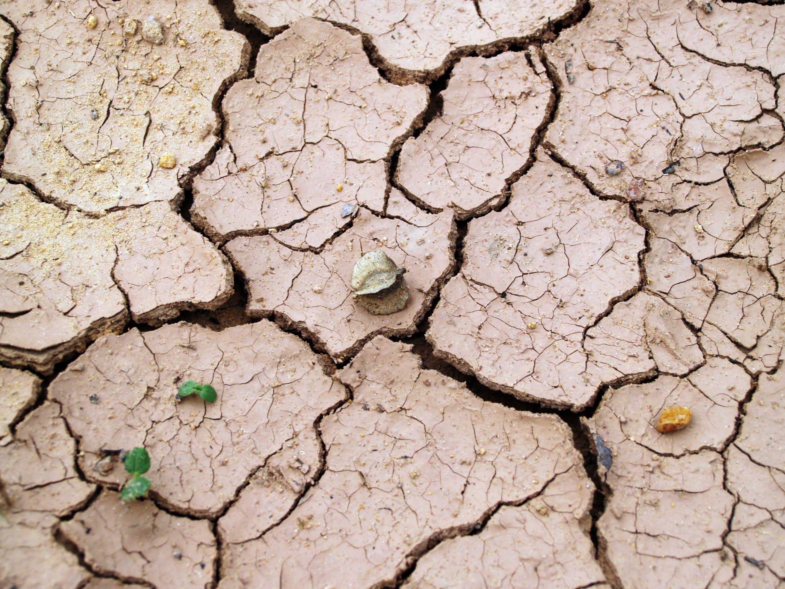 UN Summit opens with urgent call to restore the world’s degraded lands