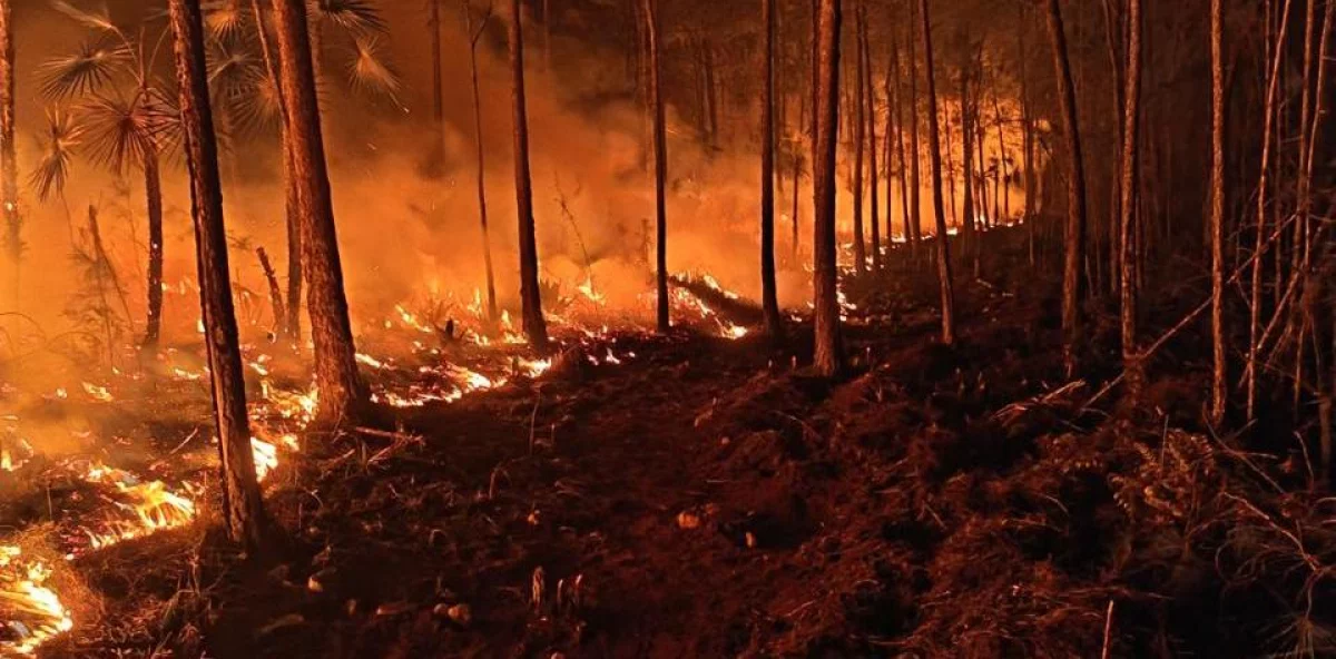 What stage is the fire in the Sierra de Bahoruco at?