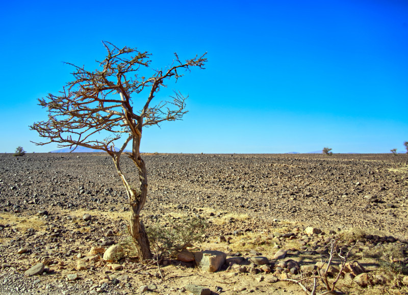 The Dominican Republic will face a moderate but persistent risk from El Niño