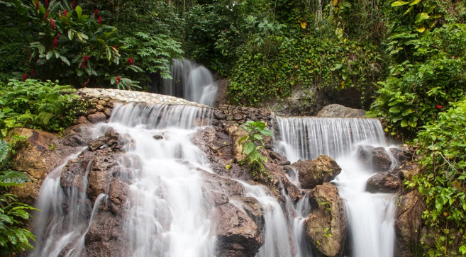 Fondo Sur seeks to protect water and marine ecosystems in the southwest