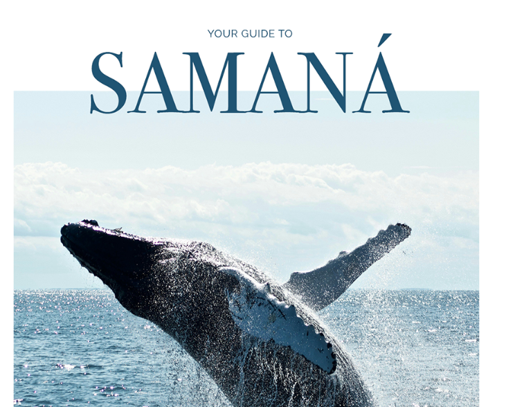 Go Samaná guide highlights Dominican Republic’s tourism attractions