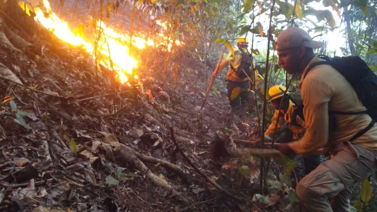Dominican Government declares environmental terrorism a matter of high national interest
