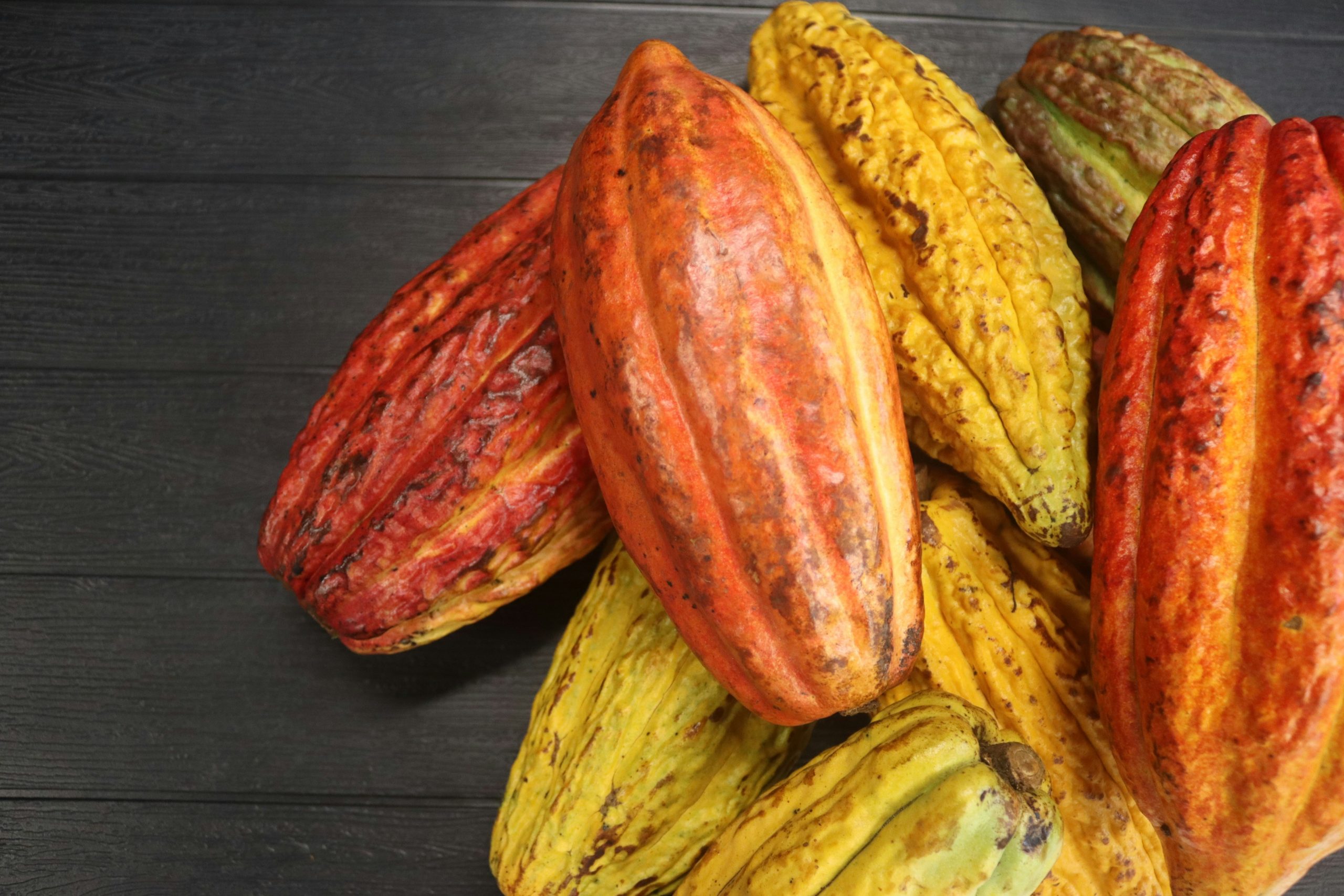 Dominican Chocolate Festival to showcase more than 18 local brands in Santiago