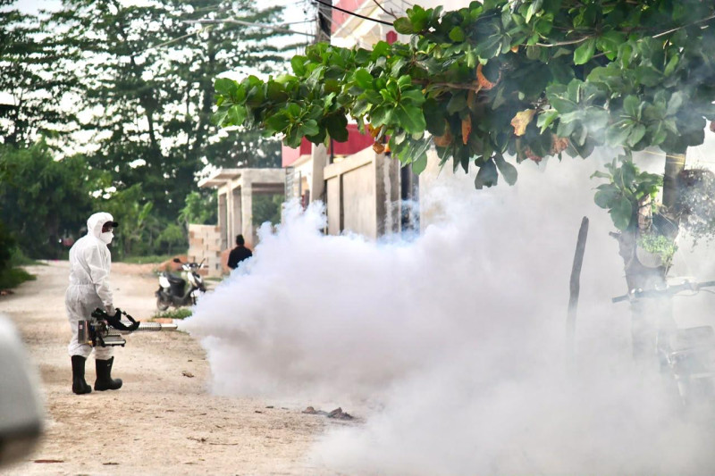 Public Health confirms 15 cases of dengue this week