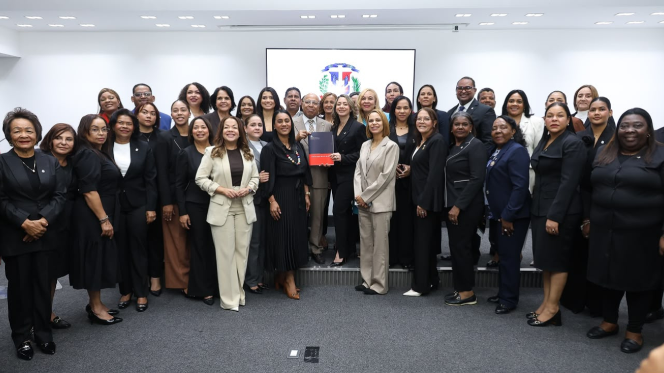 Congress receives “Mirabal Law” proposal to protect women from violence
