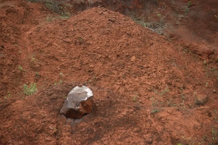 Emidom is still evaluating technology and costs for exploiting rare earths in Pedernales.